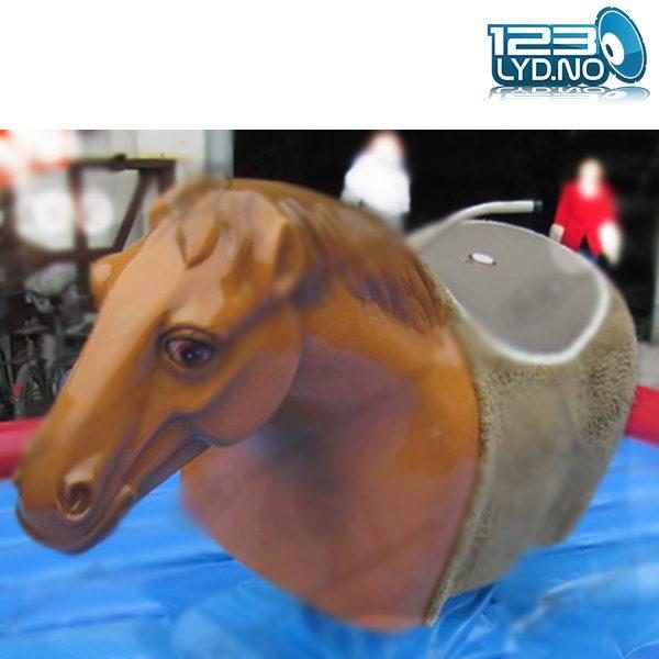 rodeo hest