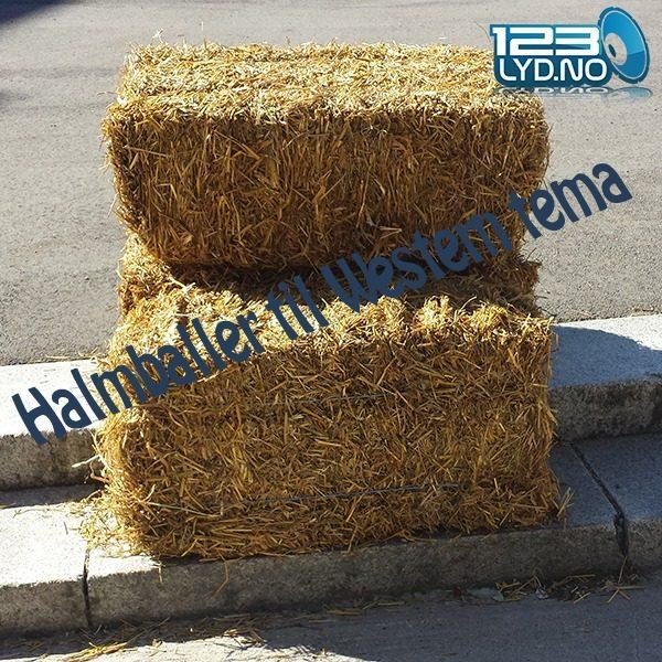 Halmballer til Cowboy Western party